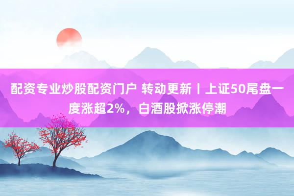 配资专业炒股配资门户 转动更新丨上证50尾盘一度涨超2%，白酒股掀涨停潮