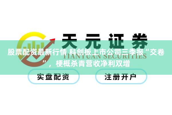 股票配资最新行情 科创板上市公司三季报“交卷”，梗概杀青营收净利双增