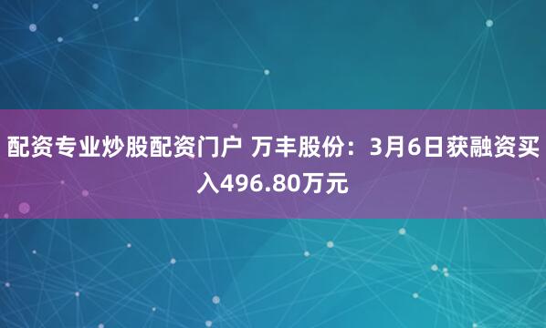 配资专业炒股配资门户 万丰股份：3月6日获融资买入496.80万元